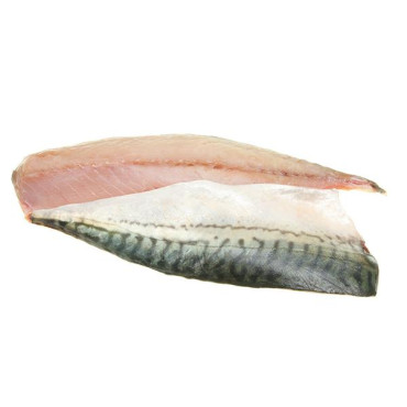 Skuša file SK 70-150g DS 10kg
