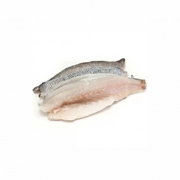 Brancin fillet 5kg