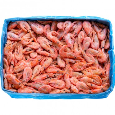 ŠKAMPI 16-20 STIROPOR 10% LEDA 1,5kg  - WHITELINK/LAESO