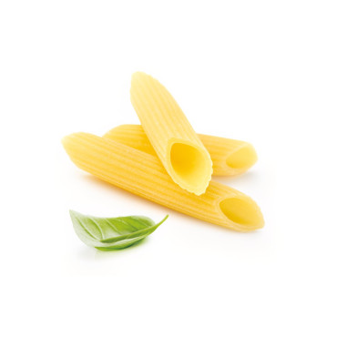 PENNE PRECOTTE 250 g DS