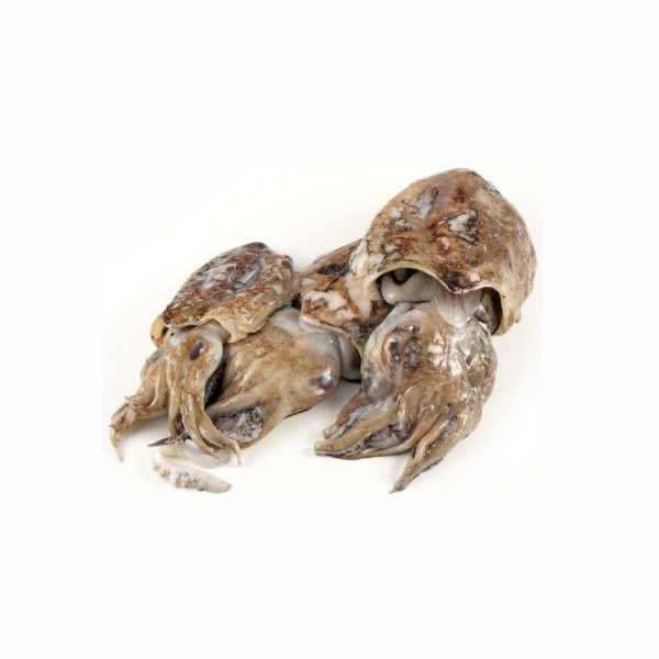 Sipa neočišćena(500-1000g)10kg