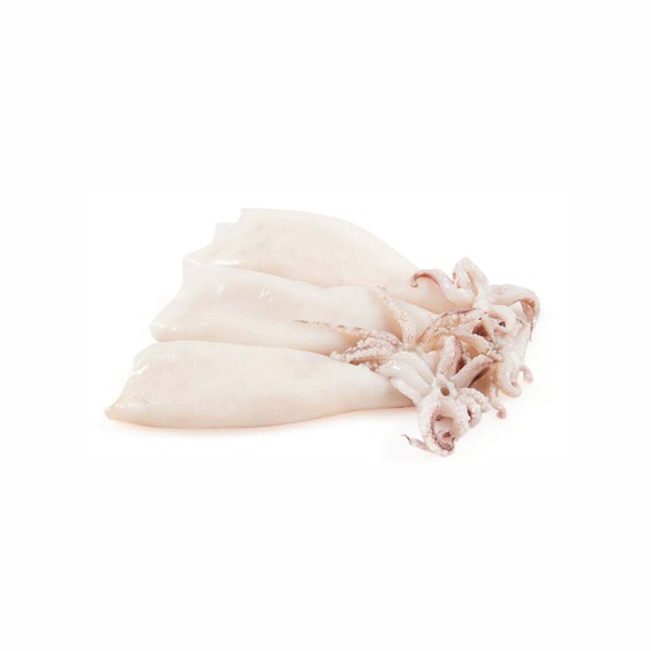 Lignja patagonijska očišćenaC4(2kg)