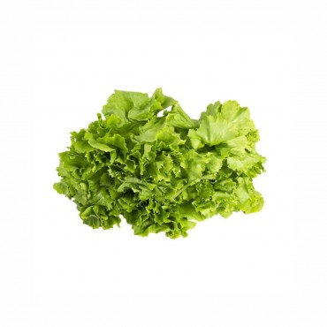 Salata Endivija rnf. 1kg