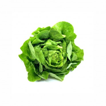 Salata Puterica rnf. 1kg